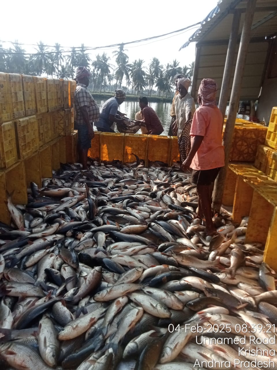 National Brand Supply